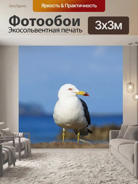 Фотообои Животное