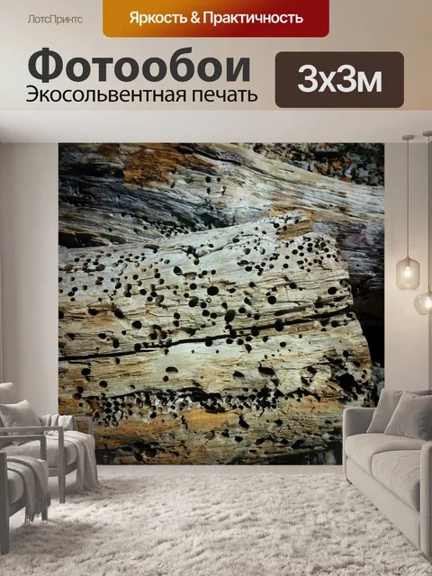 Фотообои Коряги