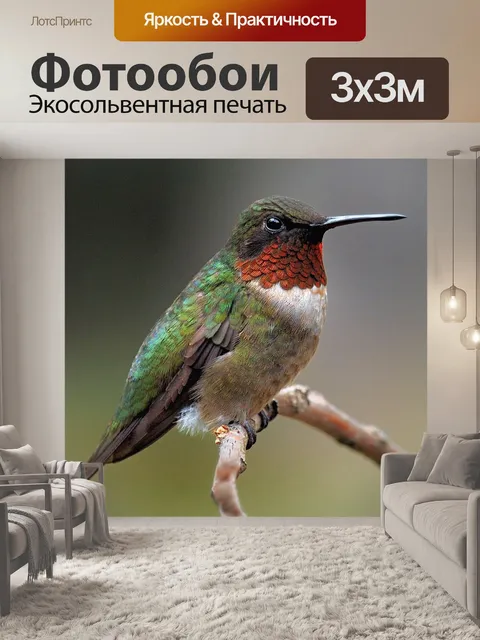 Фотообои Птица