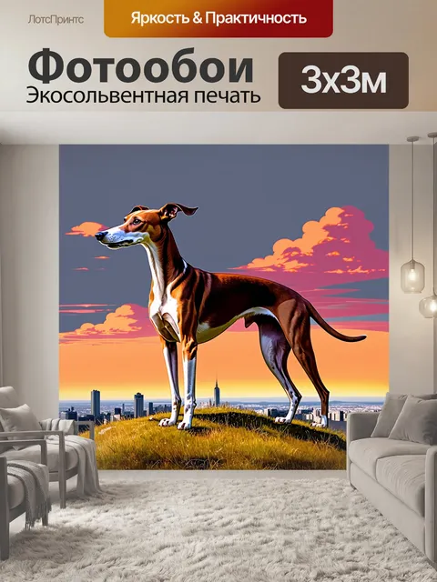 Фотообои борзая, стоящая на вершине холма с панорамным видом на вечерний город в далеке