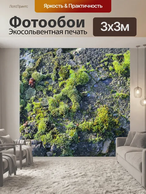 Фотообои Мох