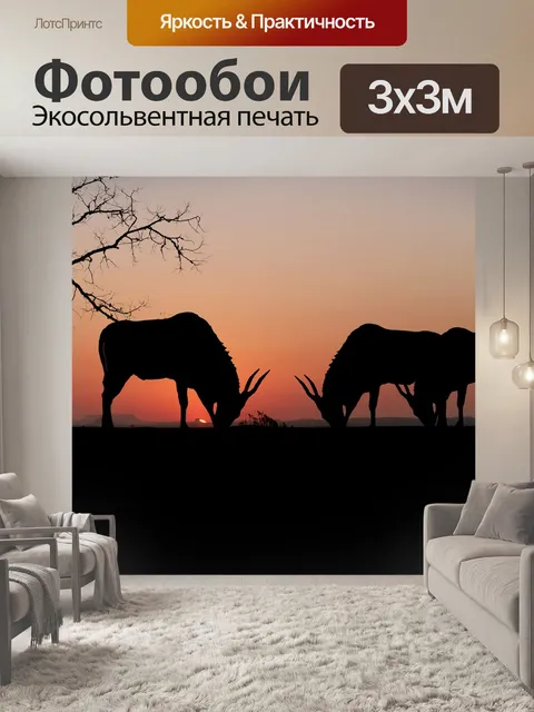 Фотообои Заход солнца