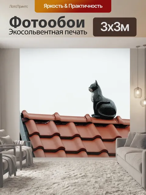 Фотообои Крыша