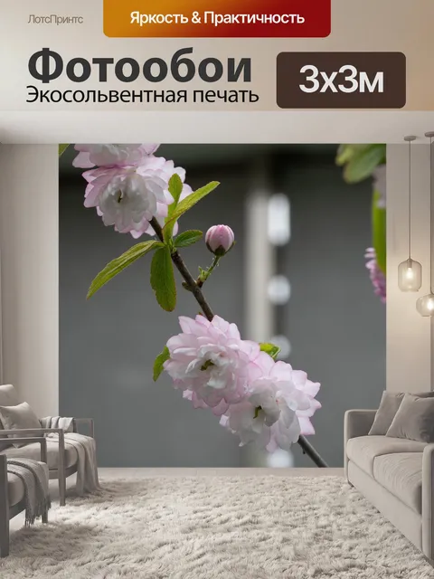 Фотообои Цветы