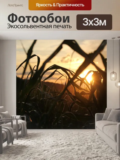 Фотообои Вечер