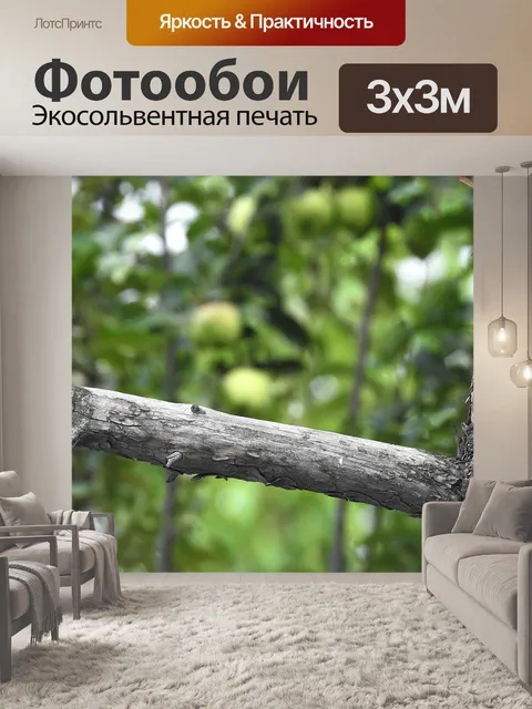 Фотообои Garden