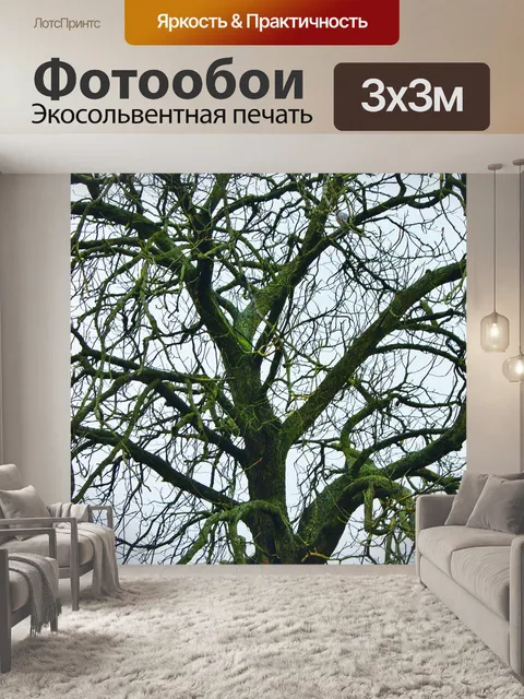 Фотообои Деревья