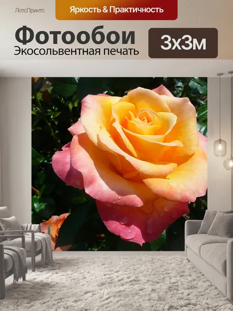 Фотообои Роза