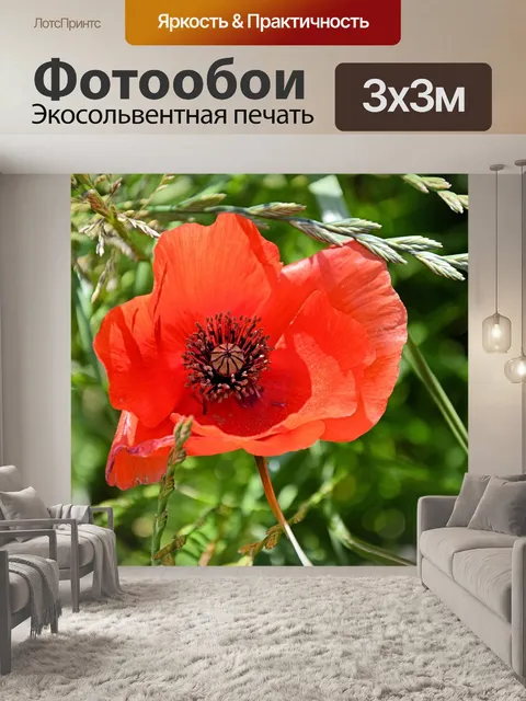 Фотообои Мак