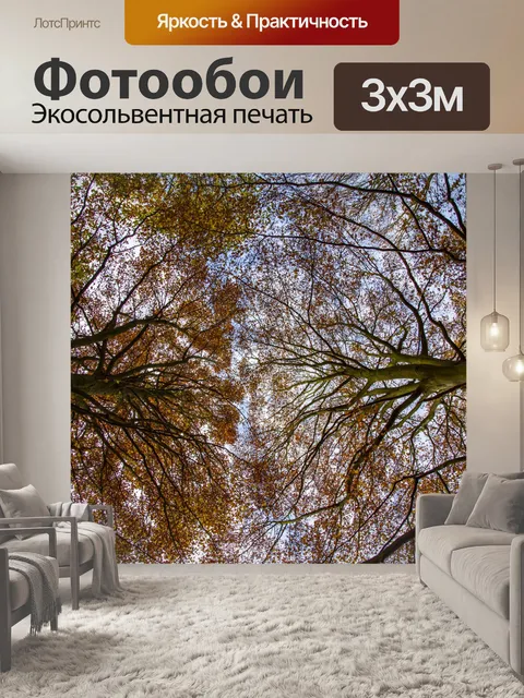 Фотообои деревья