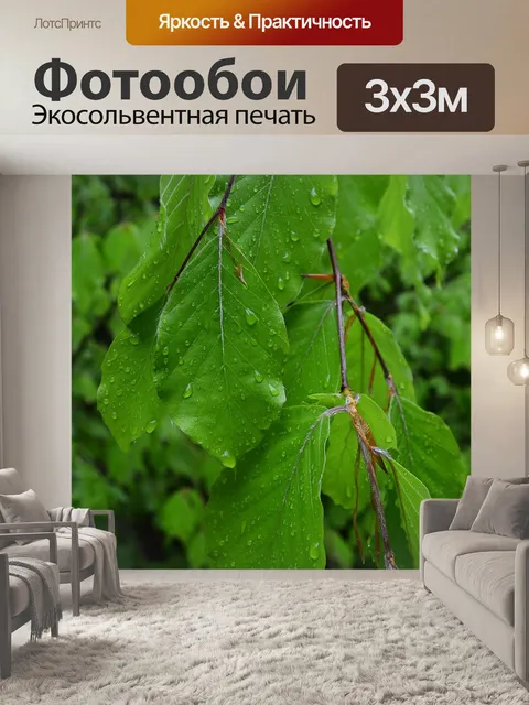 Фотообои Листья