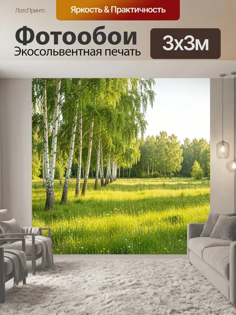 Фотообои Березовая роща в солнечном поле