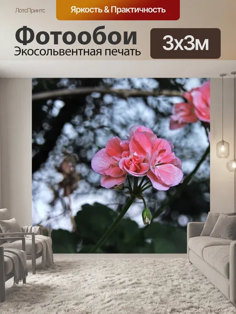 Фотообои Цветок