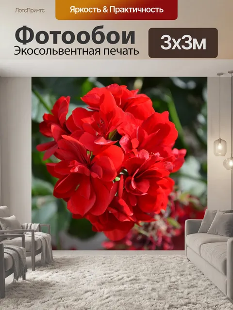 Фотообои Flower