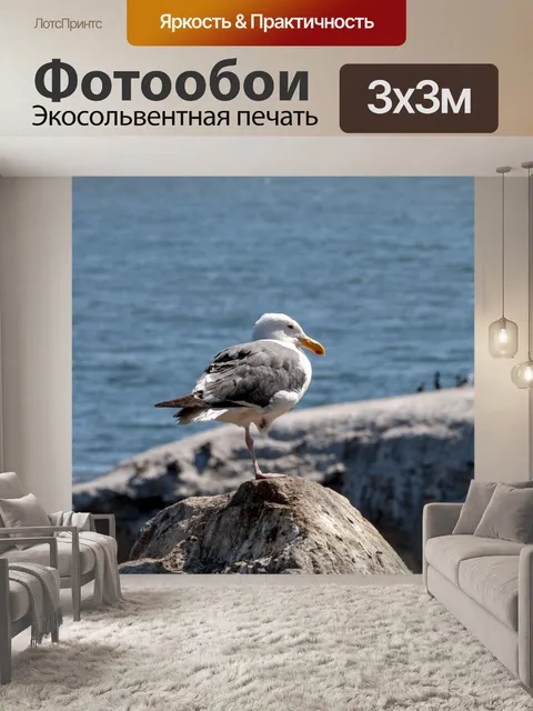 Фотообои Чайка у моря