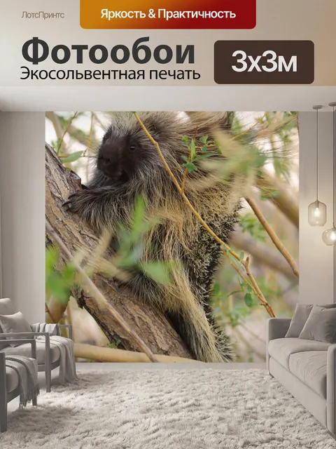 Фотообои Дикобраз в дереве