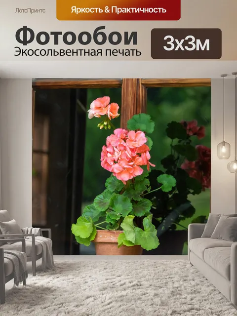Фотообои Цветы в окне