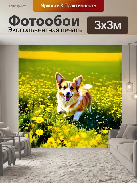 Фотообои на фоне зеленого луга играет милый корги, его короткие лапки весело пружинят при каждом шаге