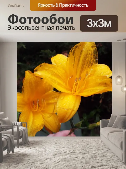 Фотообои Лилии