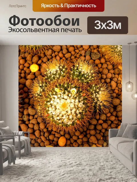 Фотообои Кактус пустынное растение