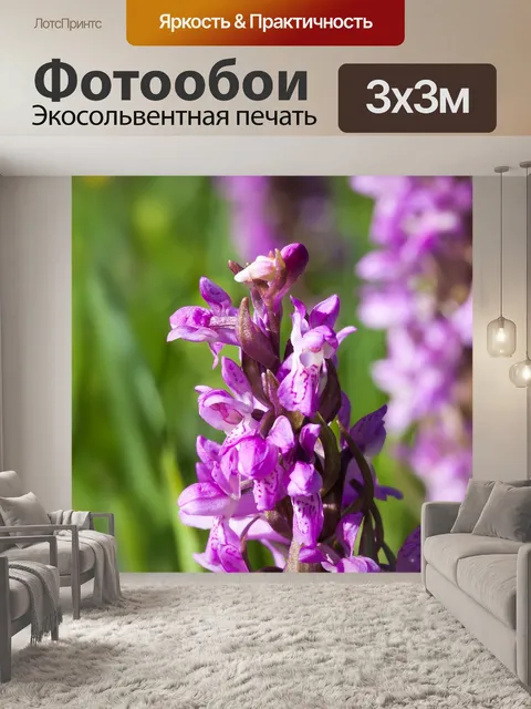Фотообои Луг