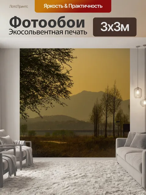 Фотообои Деревья