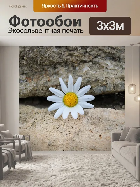 Фотообои Стена