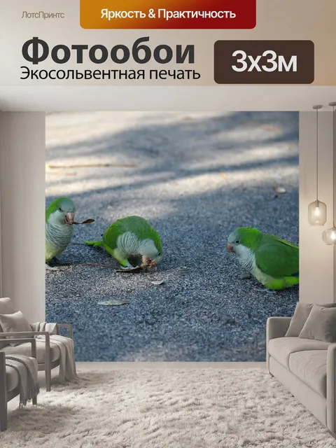 Фотообои Попугай