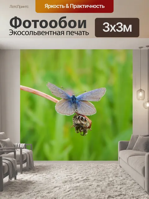 Фотообои Голубоватый