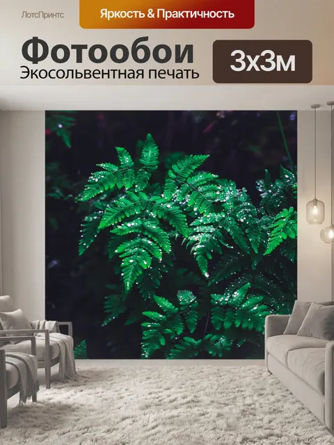 Фотообои Папоротник