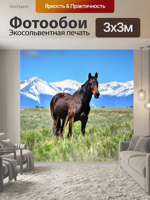 Фотообои Лошадь