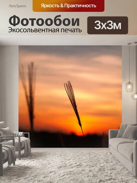 Фотообои Закат восход