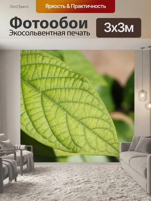 Фотообои лист