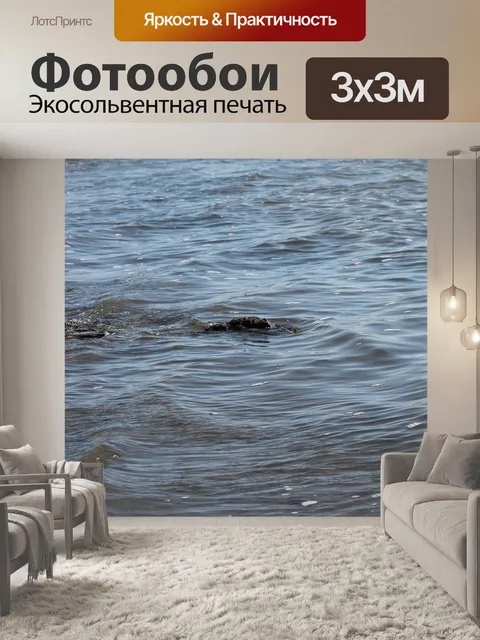 Фотообои Берег