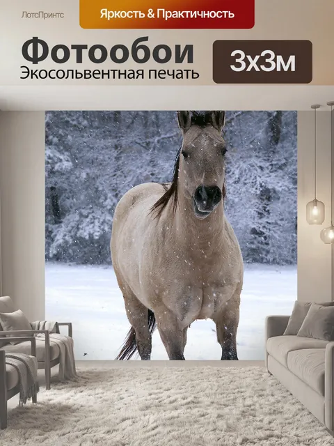 Фотообои Лошадь
