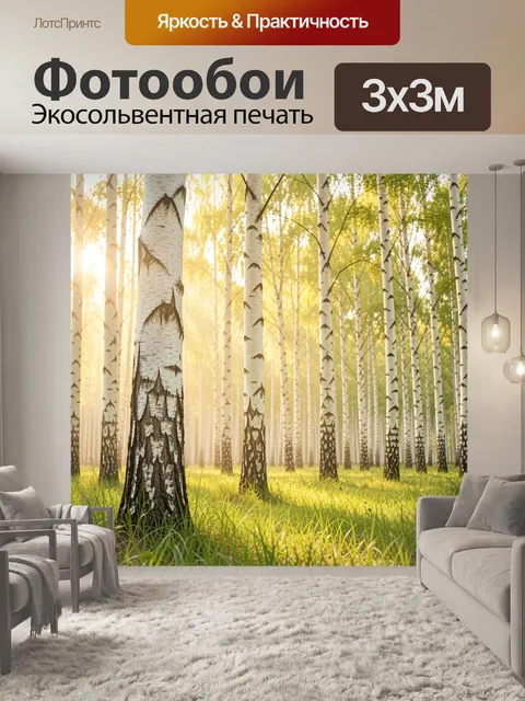 Фотообои Берёзовая роща в солнечном тумане