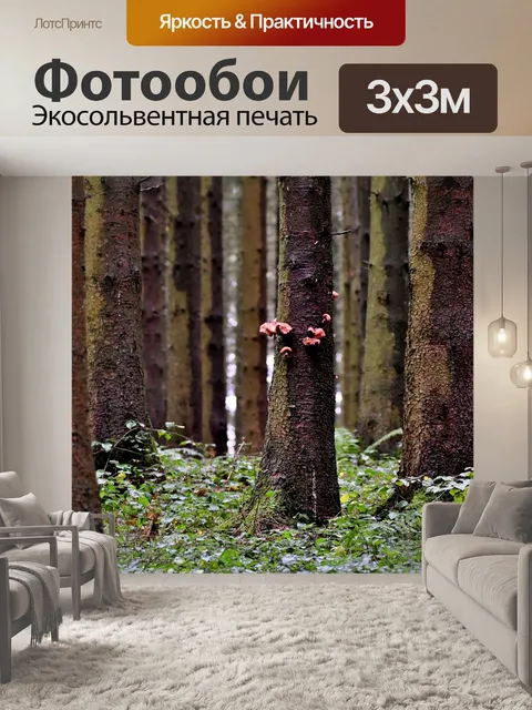 Фотообои Лес