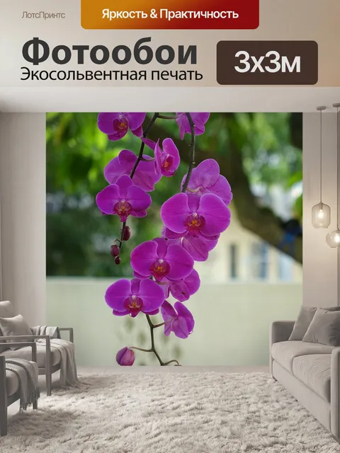 Фотообои Орхидея