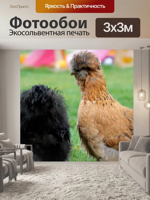 Фотообои Куры