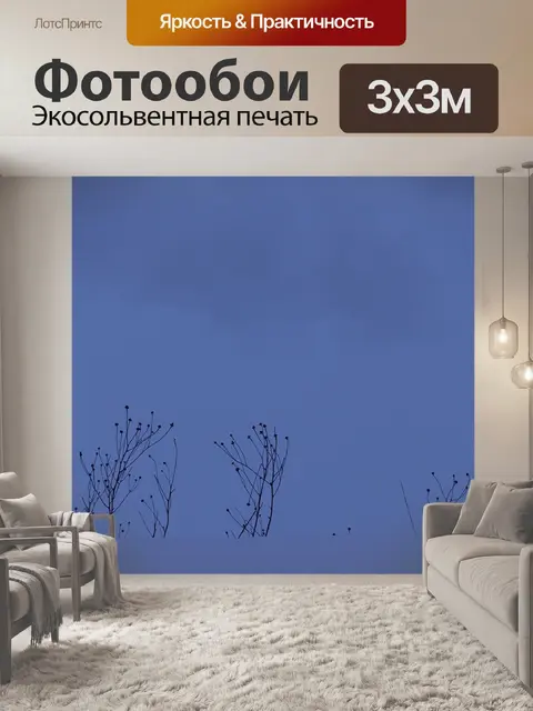 Фотообои Зима