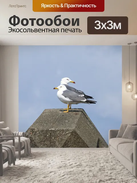 Фотообои Животное