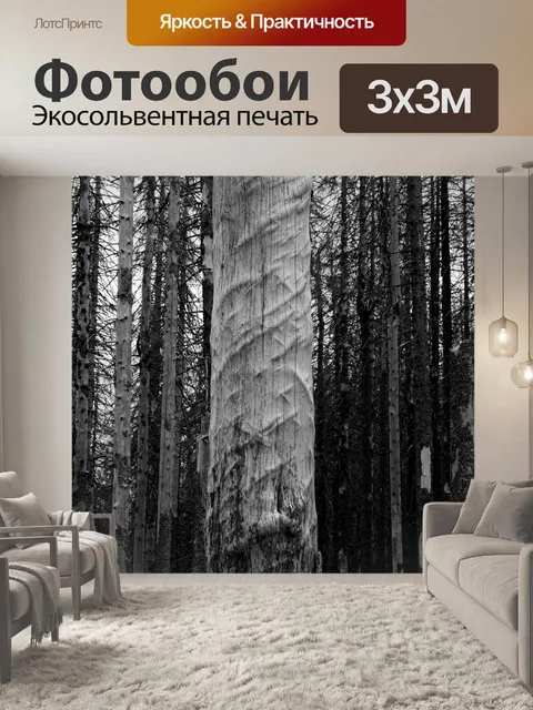 Фотообои Короед