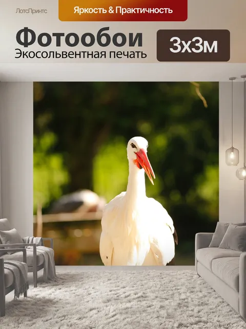 Фотообои Аист