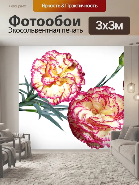 Фотообои Цветы