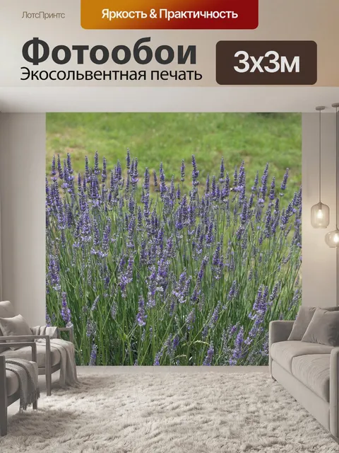 Фотообои Лаванда