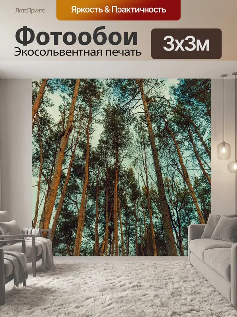 Фотообои Лес