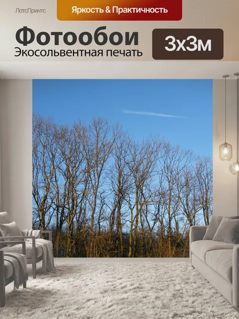 Фотообои Деревья