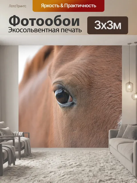 Фотообои Лошадь