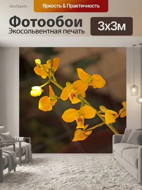 Фотообои ярко-желтый цвет орхидей