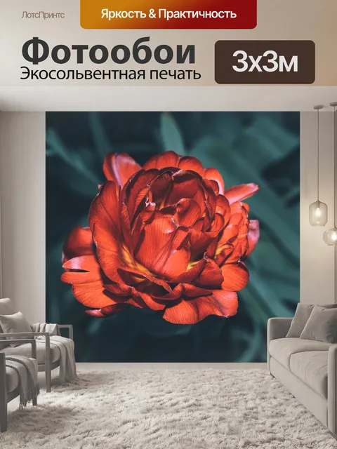 Фотообои Цветок